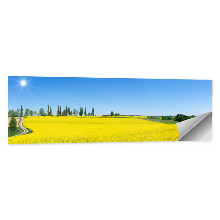 Winding Path Through Rapeseed Field Wall Art as a poster print