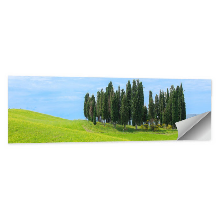 Tuscany Cypress Trees Wall Art as a poster print