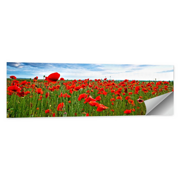 Red Poppy Field Wall Art as a poster print