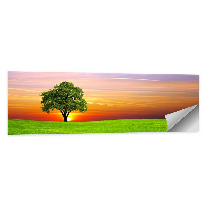Lone Tree at Sunset Wall Art as a poster print