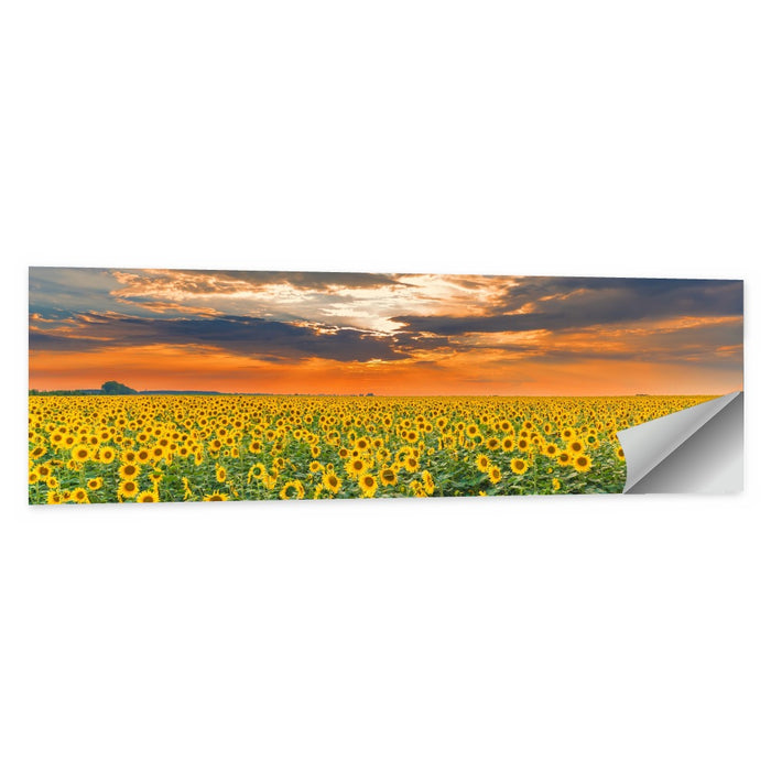 Golden Hour Sunflower Field Wall Art as a poster print