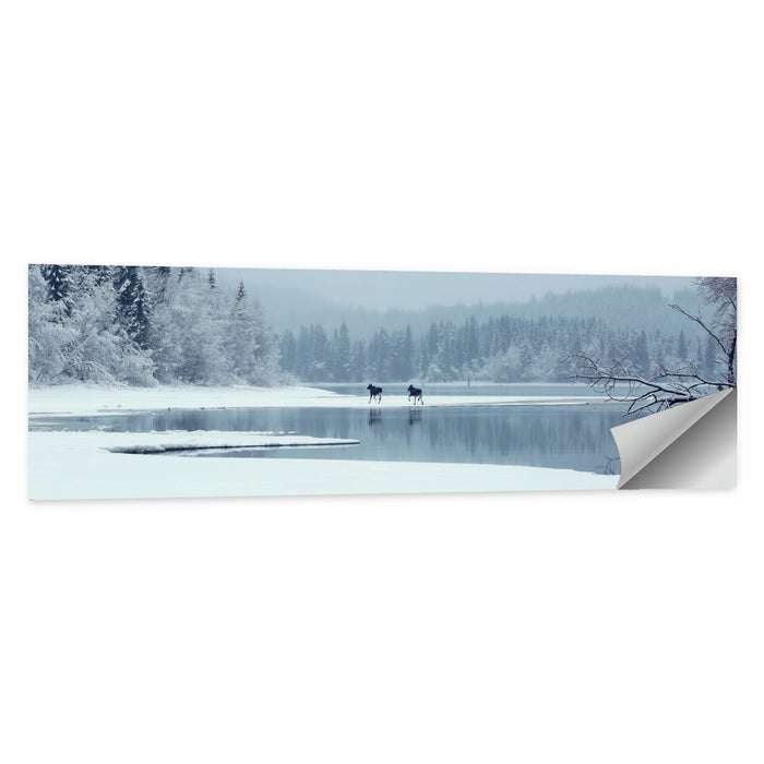 Foggy Lake Selbu Wall Art as a poster print