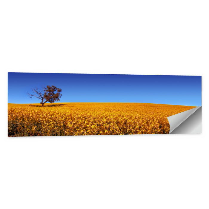 Canola Field with Lone Tree Wall Art as a poster print