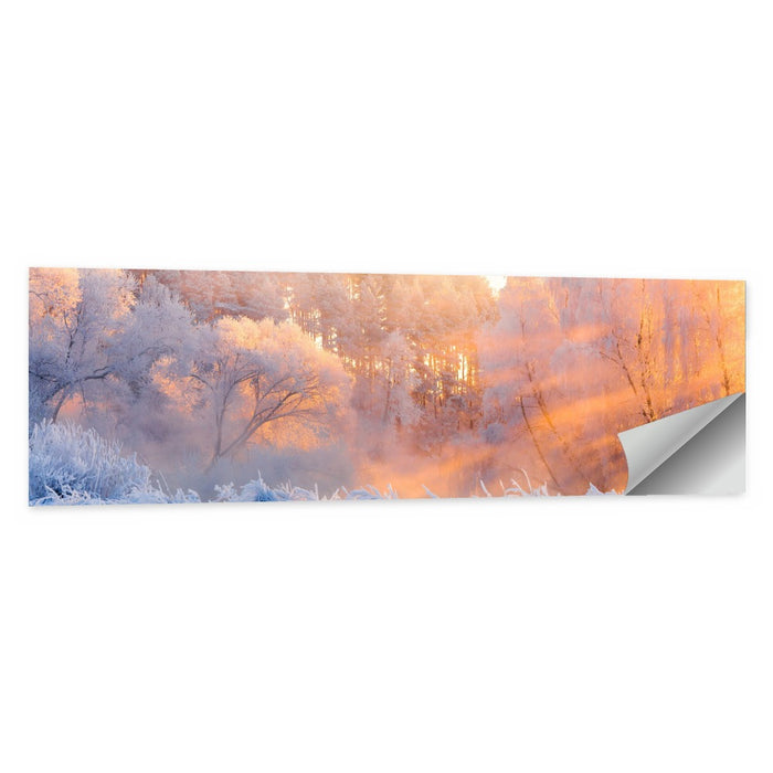 Sunlit Winter Forest Wall Art as a poster print