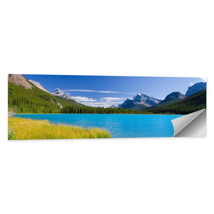 Jasper Lake with Driftwood Wall Art as a poster print