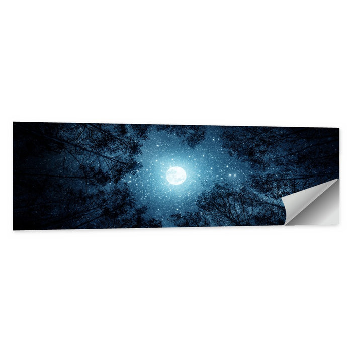 Full Moon Over Forest Wall Art as a poster print