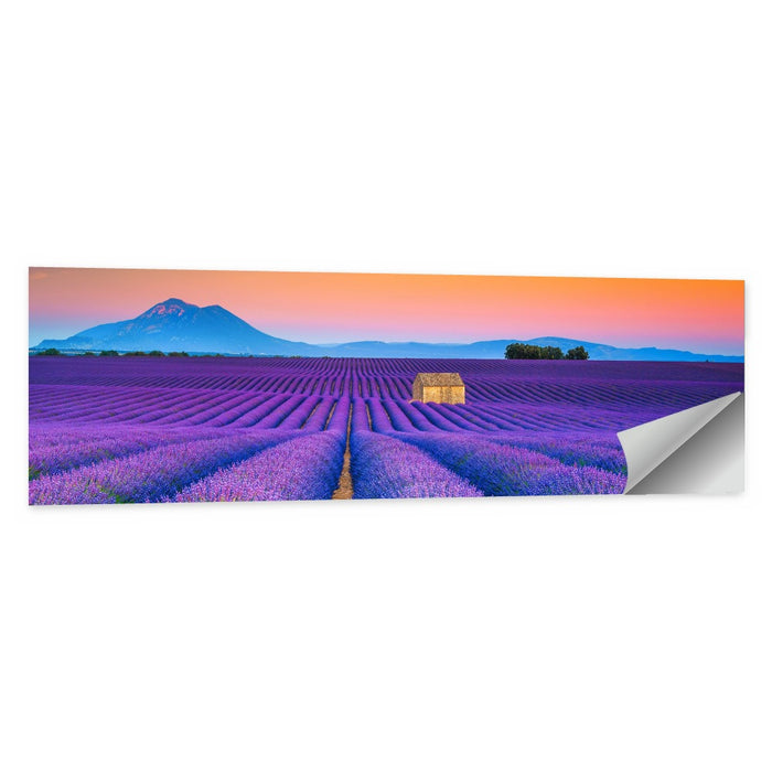 Valensole Lavender Fields at Sunset Wall Art as a poster print