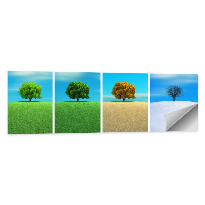 One Tree, Four Seasons Wall Art as a poster print