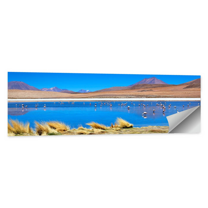 Laguna Flamingo Lake Wall Art as a poster print