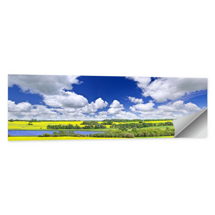 Saskatchewan Canola Field Wall Art as a poster print