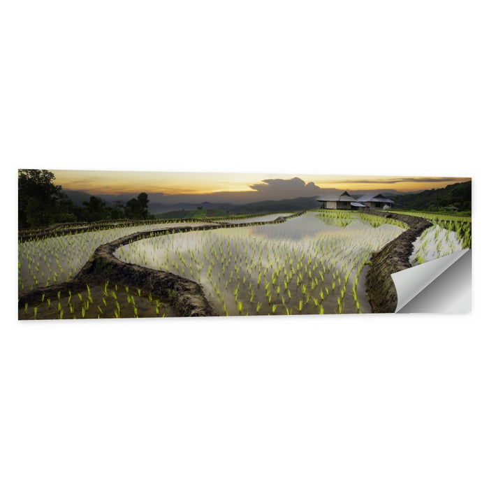 Pa Pong Peang Rice Terrace Wall Art as a poster print