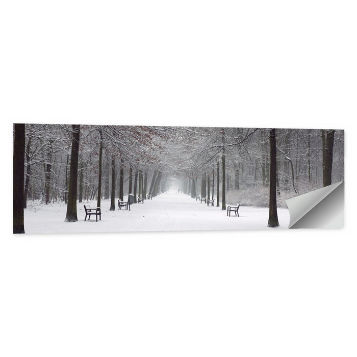 Snow Covered Park Lane Wall Art as a poster print
