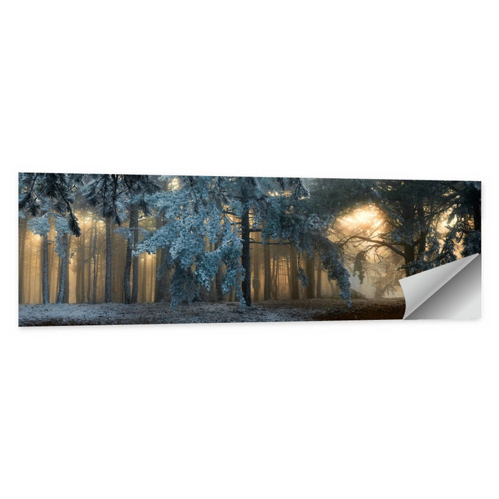 Sunlit Snow Covered Forest Wall Art as a poster print