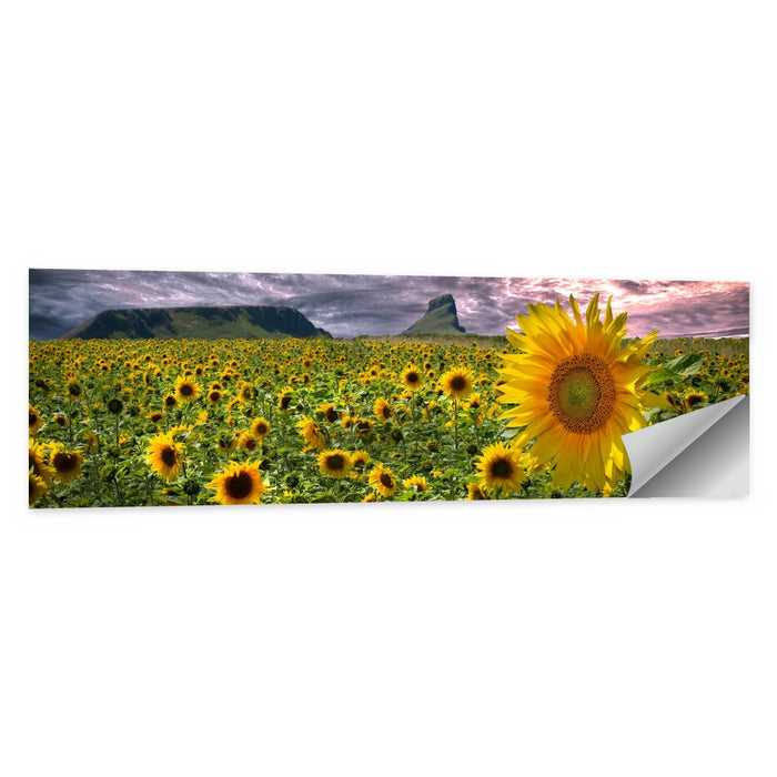 Sunflower Field with Mountains Wall Art as a poster print