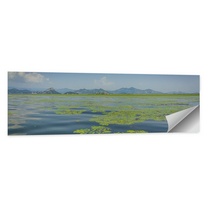 Lake Skadar Water Lilies Wall Art as a poster print