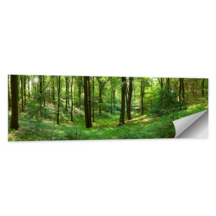 Sunlit Green Woodland Wall Art as a poster print