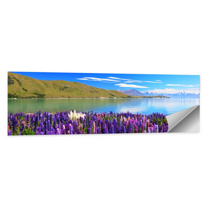Lake Tekapo Lupine Fields Wall Art as a poster print