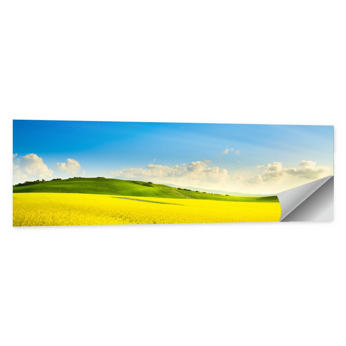 Rapeseed Field and Rolling Hills Under Blue Sky Wall Art as a poster print