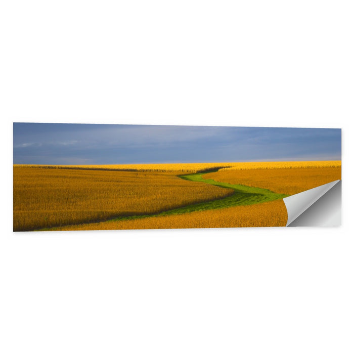 Golden Hour Soybean Field Wall Art as a poster print