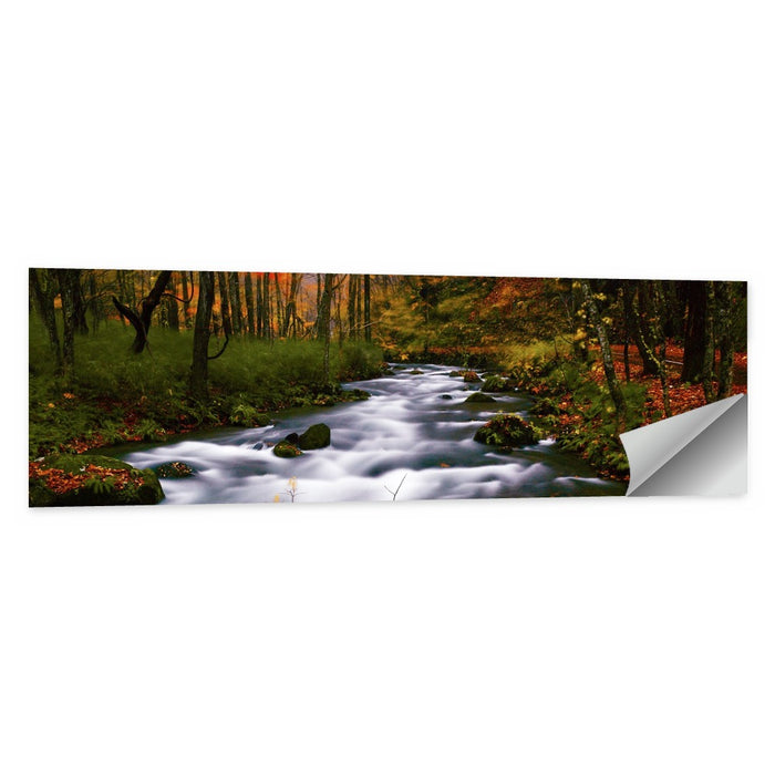 Autumn Forest Stream Wall Art as a poster print