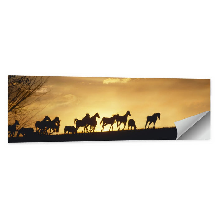 Mustang Silhouettes at Sunset Wall Art as a poster print