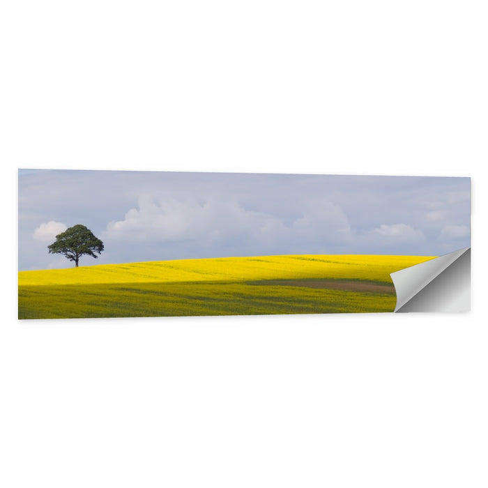 Solitary Tree Over Rapeseed Field Wall Art as a poster print