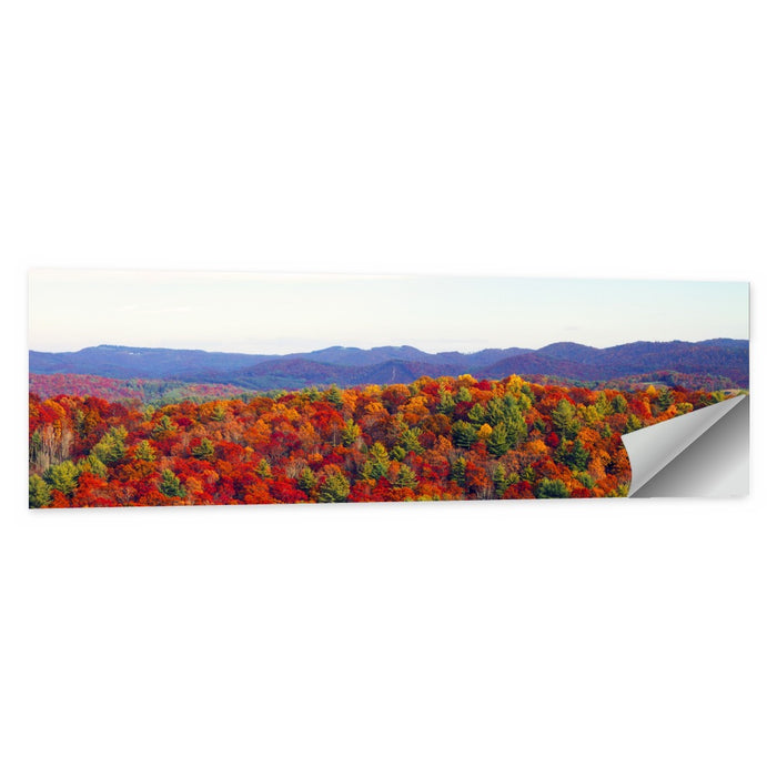 Autumn in the Appalachian Forest Wall Art as a poster print