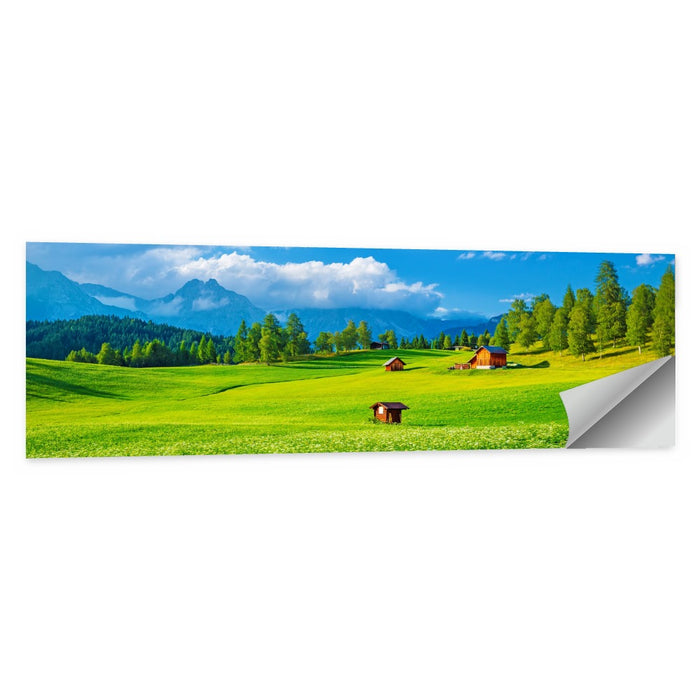 Alpine Valley Meadow, Austria Wall Art as a poster print