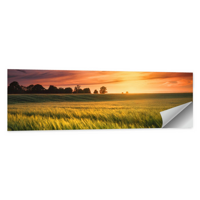 Wheat Field at Golden Hour Wall Art as a poster print