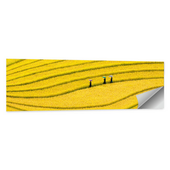Golden Rice Terraces with Umbrellas Wall Art as a poster print
