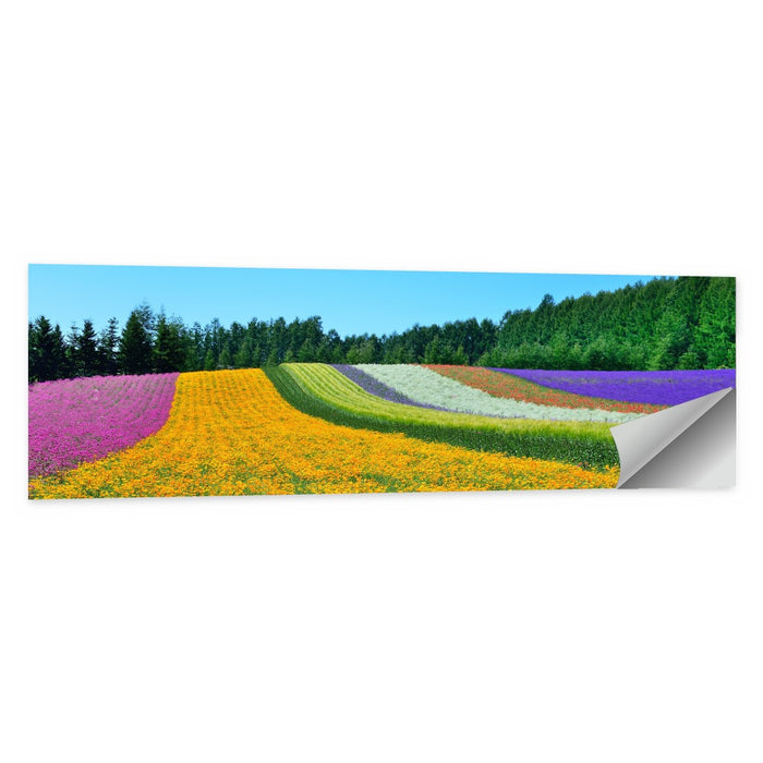 Tomita Flower Fields, Nakafurano Wall Art as a poster print