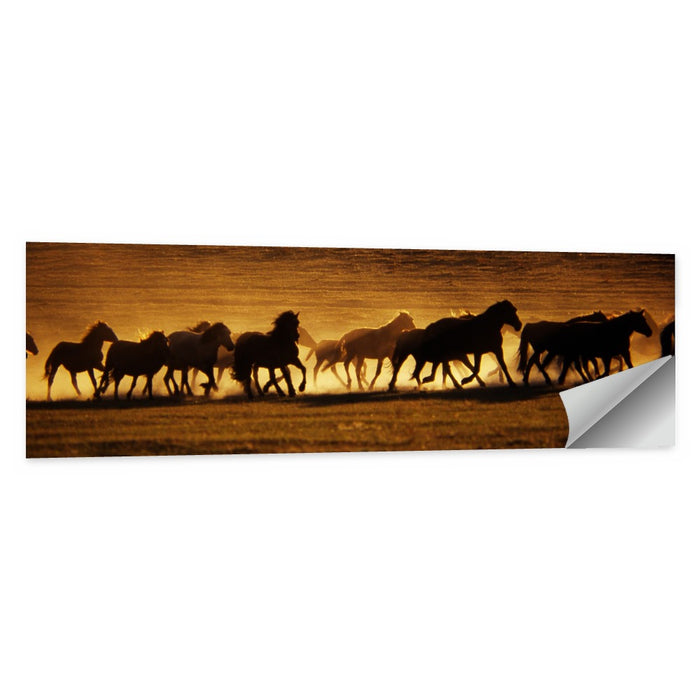 Running Wild Horses at Sunset Wall Art as a poster print