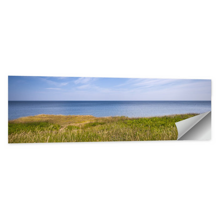 Atlantic Coastal Meadow Wall Art as a poster print
