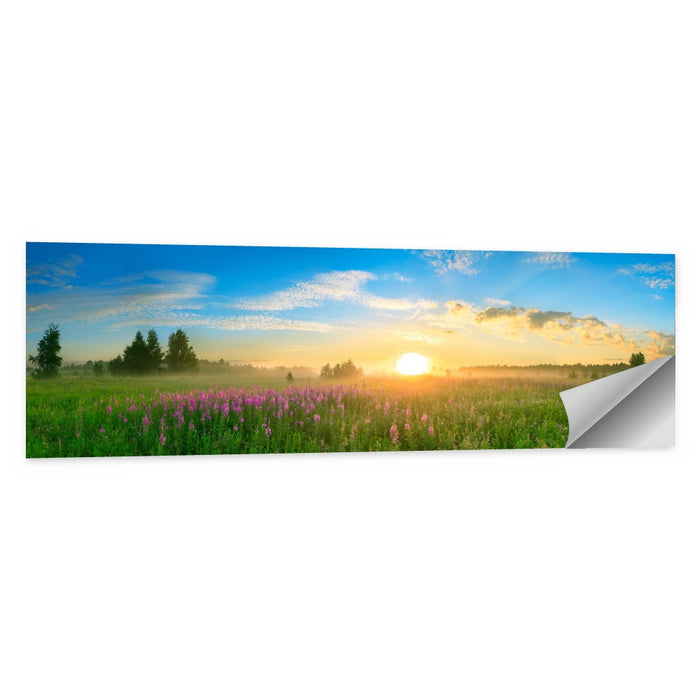 Fireweed Meadow Sunrise Wall Art as a poster print