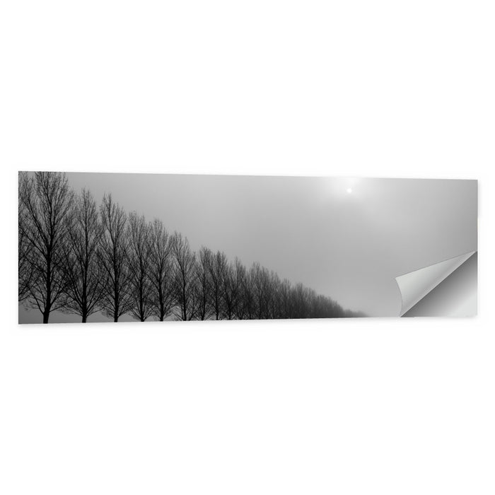 Misty Row of Bare Trees Wall Art as a poster print