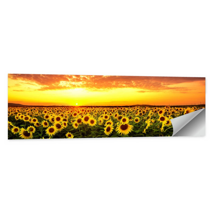 Golden Hour Sunflower Field Wall Art as a poster print