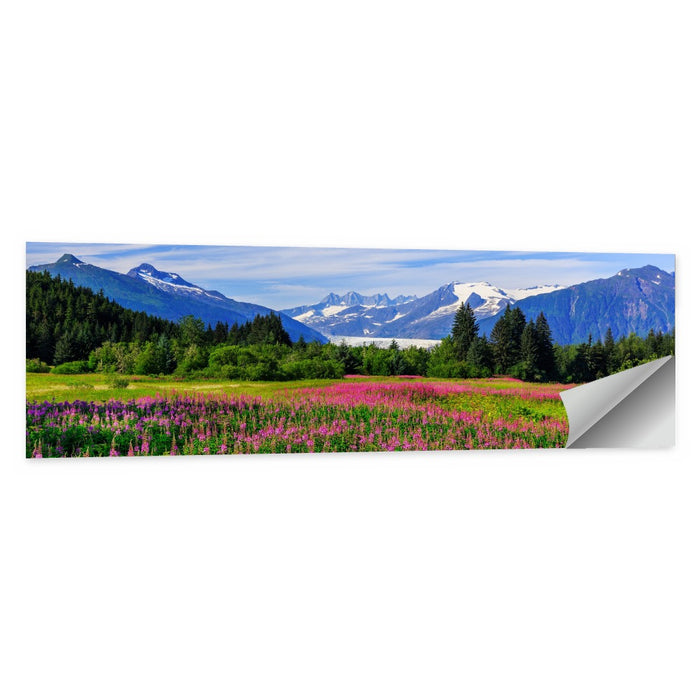 Juneau Meadow with Mendenhall Glacier Wall Art as a poster print