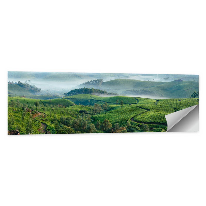 Kerala Tea Fields Wall Art as a poster print