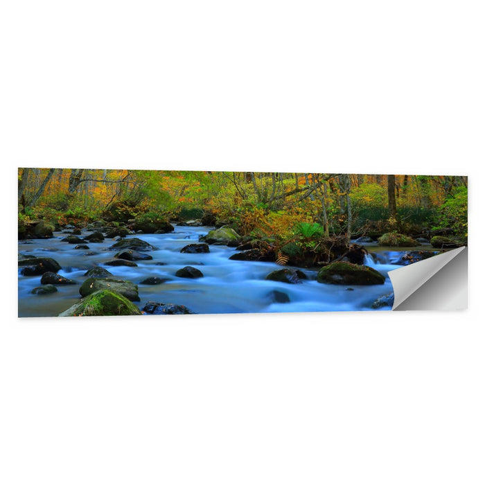 Oirase Gorge Autumn Stream Wall Art as a poster print