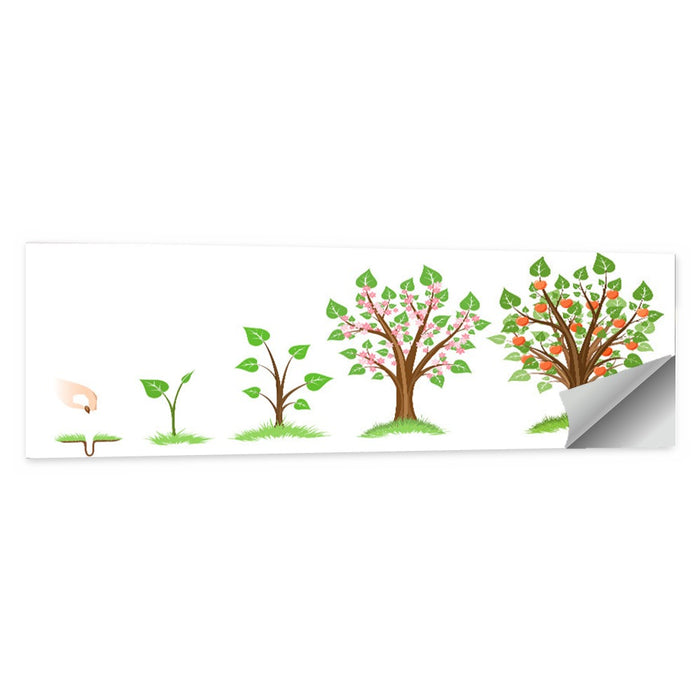 Apple Tree Life Cycle Wall Art as a poster print