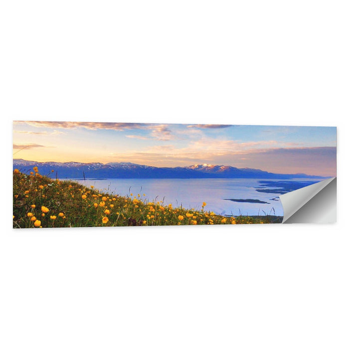 Abisko National Park Sunrise Wall Art as a poster print