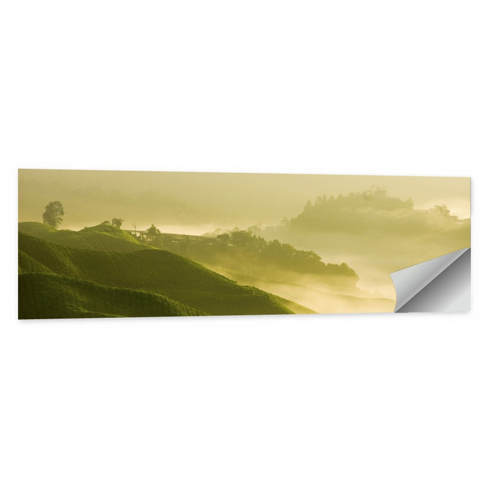 Tea Plantation Morning Mist Wall Art as a poster print