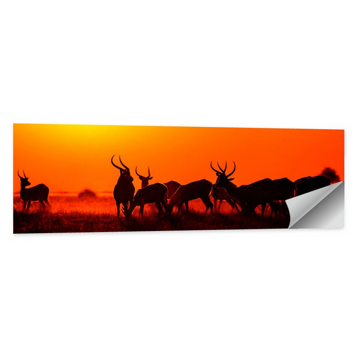 Antelope Herd at Sunset Wall Art as a poster print