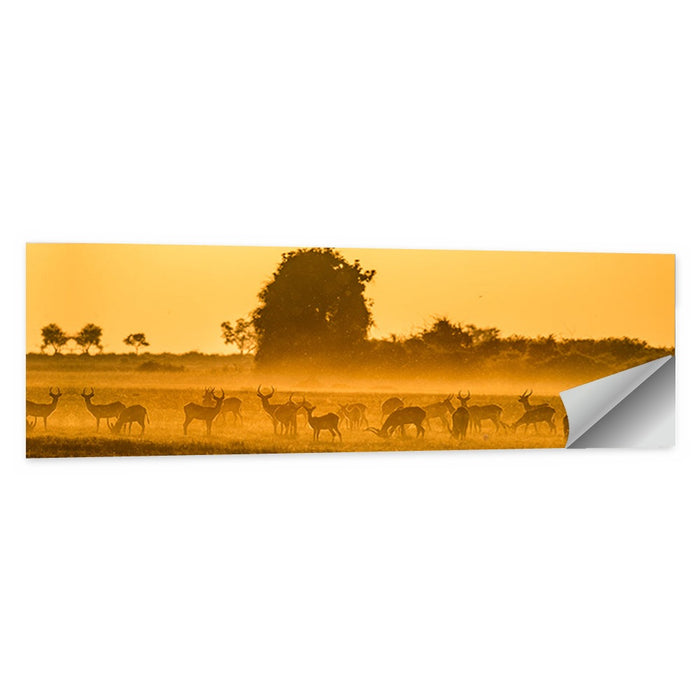 Antelope Herd at Golden Hour Wall Art as a poster print