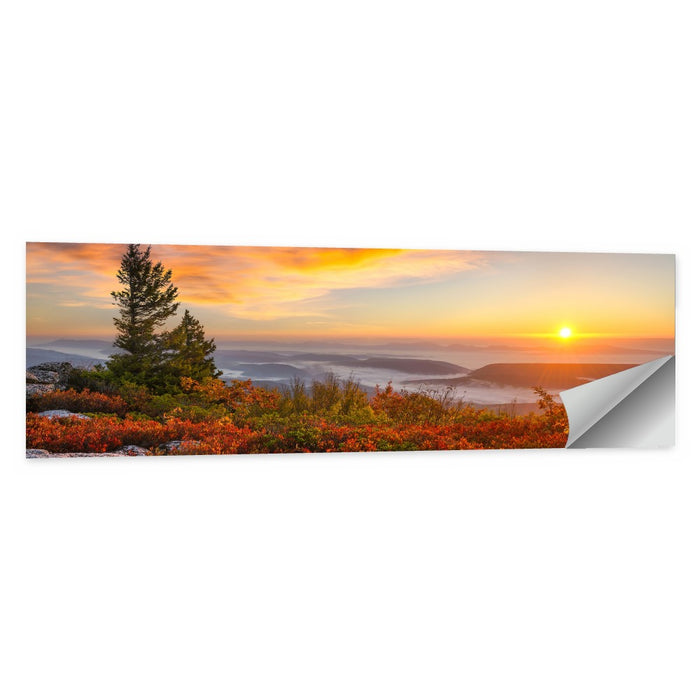 Sunrise Over Dolly Sods Wall Art as a poster print