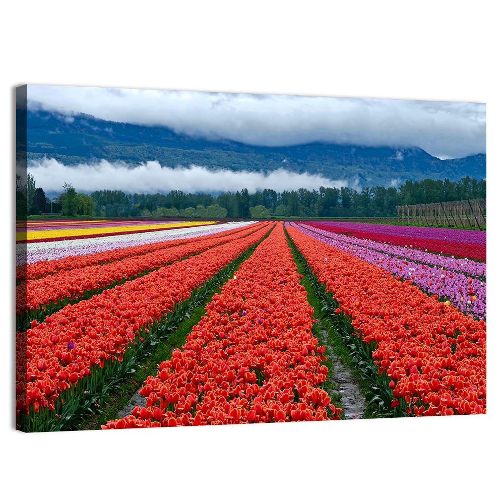 Chilliwack Tulip Festival Wall Art