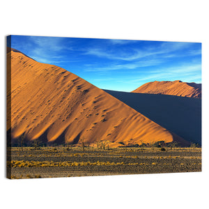 Dunes Of Namib Desert Wall Art