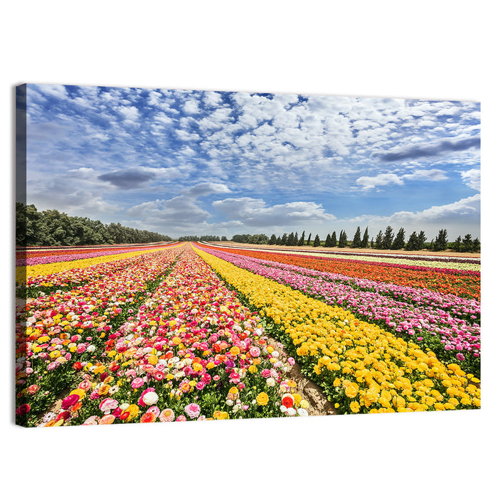 Spring Buttercup Field Wall Art as a canvas print
