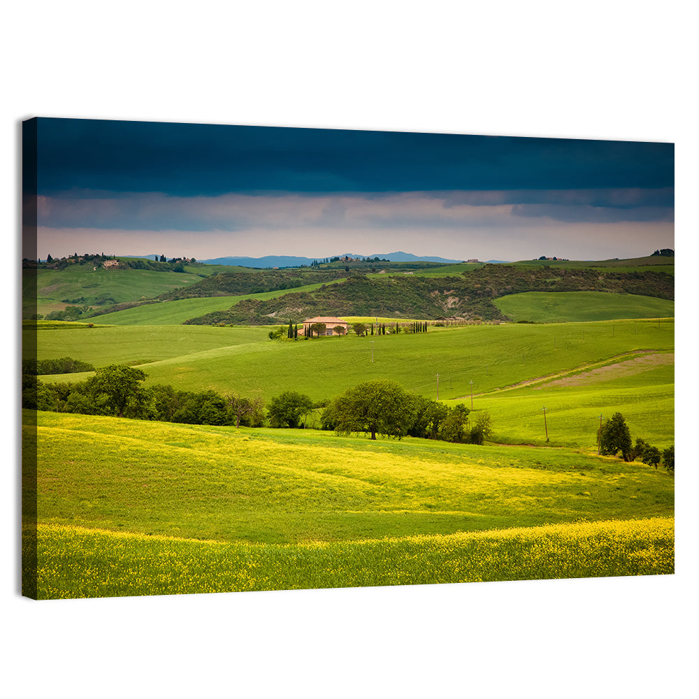 Tuscany in Summer Wall Art, canvas print, landscape