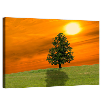 Lonely Tree On Green Field Wall Art